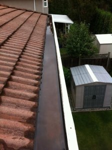 5 signs for gutter replacement - vancouver gutters with standing water