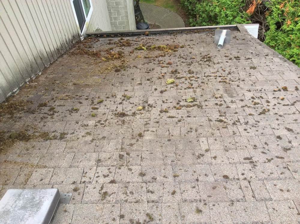 Langley Roof Cleaning | Moss Removal, before image. We cleaned this mossy roof in no time.