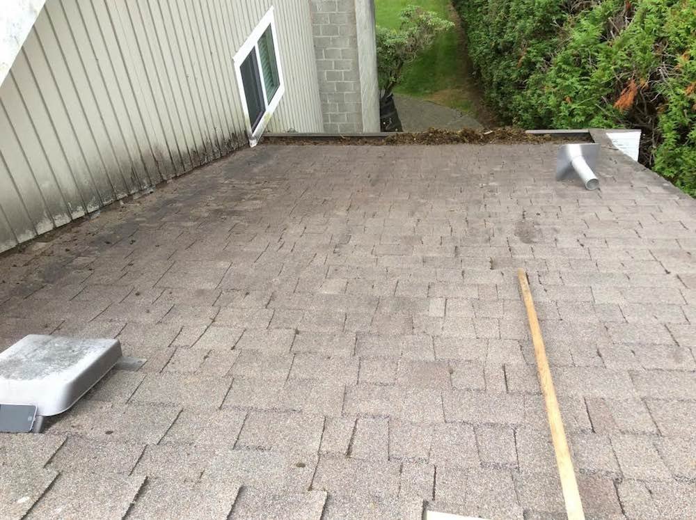 Langley Moss Removal - after image. We finished the project, gutter cleaning inside and out of the entire system.