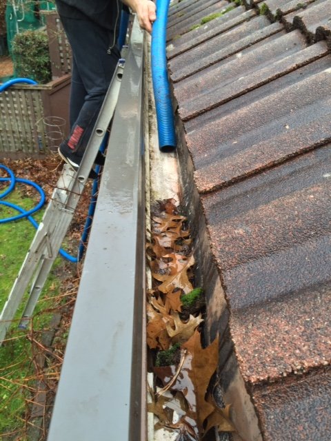 Vancouver Gutter Cleaning project for the Spruce Creek Strata. Vacuum easily suck up leaves, moss and debris before we wash and flush the system