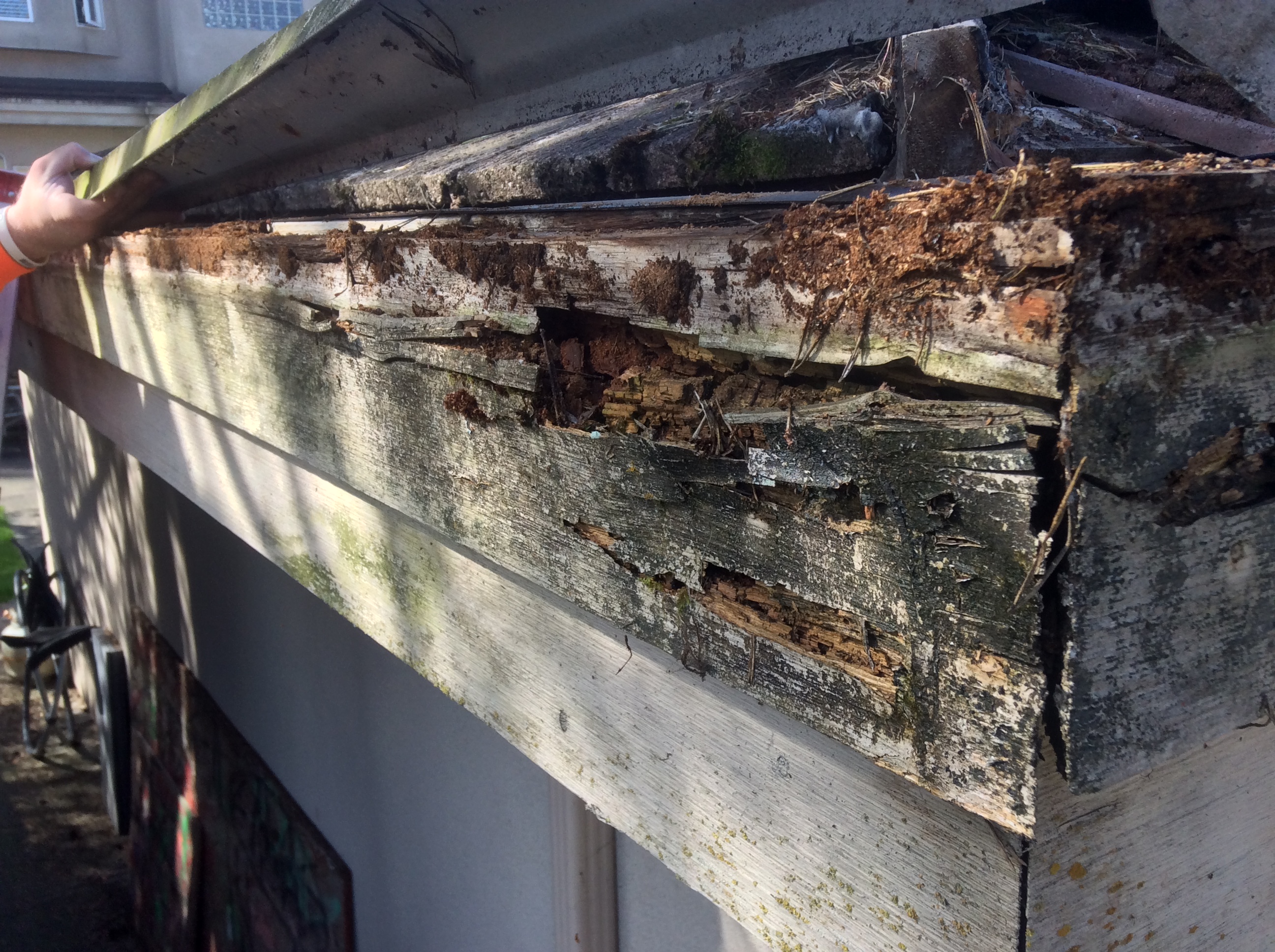 Hidden Gutter Repair Kitsilano | Vancouver BC