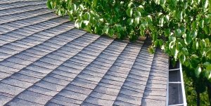 Improper roof pitch can lead to damage