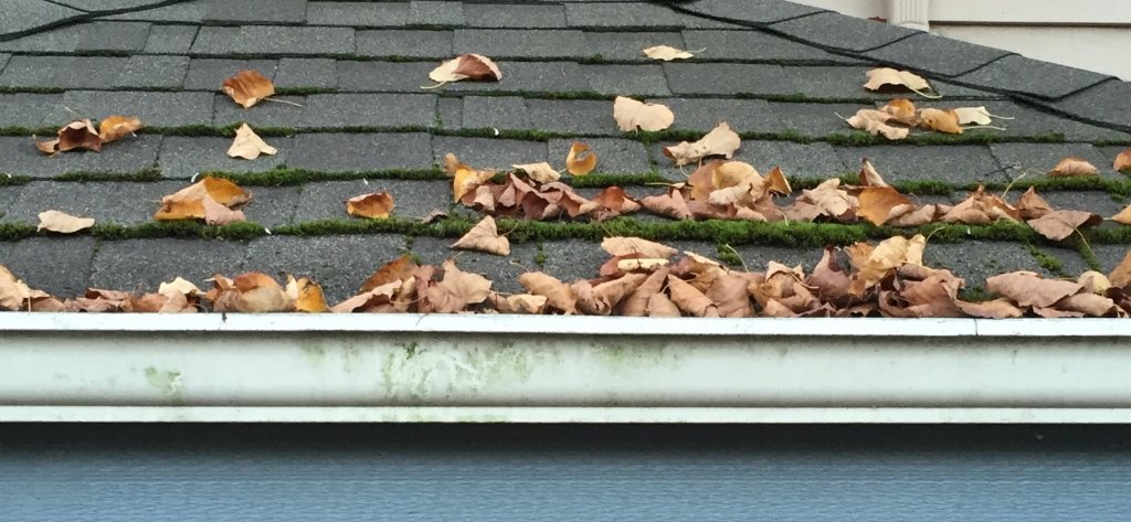 How to Stop Moss from Forming in Gutters