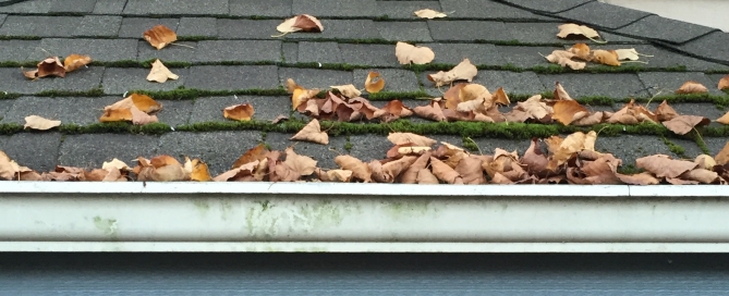 Got Gunk in Your Gutter?