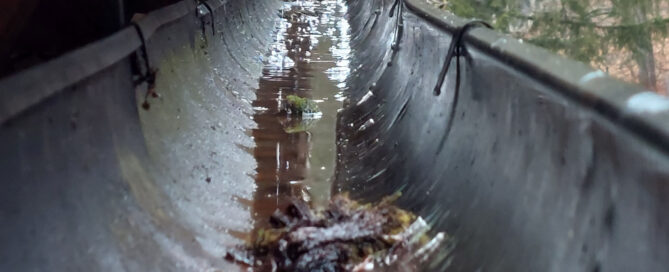 clean gutters vancouver